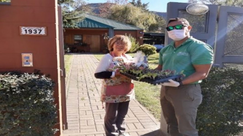 Sol Puntano realizó la primera tanda de entrega de plantines