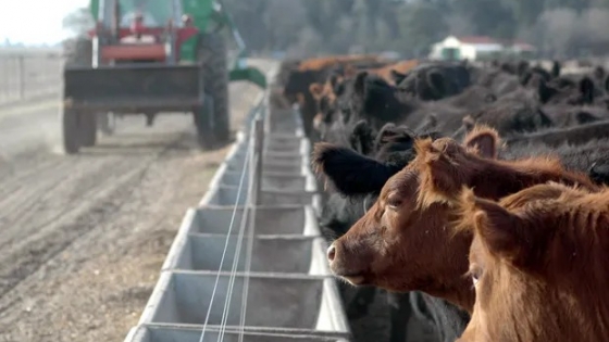 Financiamiento para alimento balanceado: reclamo de CAENA