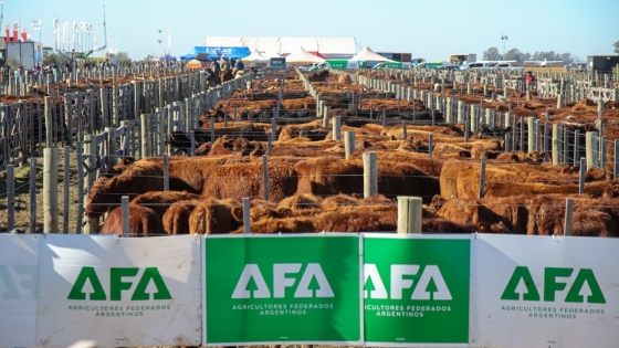 Agroactiva ganadera 2026: genética de elite, lechería histórica y el escenario más grande del año para el sector pecuario argentino