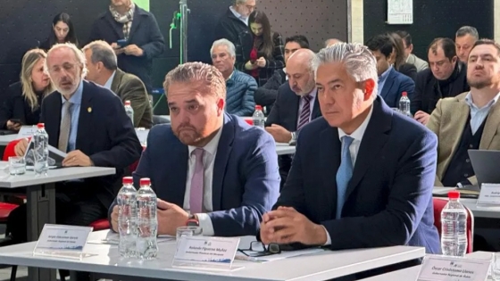 Neuquén será sede del Comité de Integración entre Argentina y Chile el 25 y 26 de junio