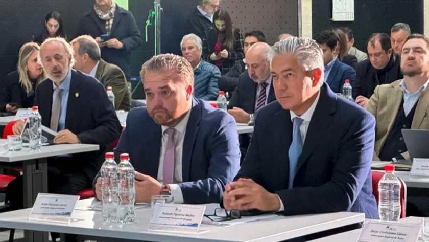 Neuquén será sede del Comité de Integración entre Argentina y Chile el 25 y 26 de junio
