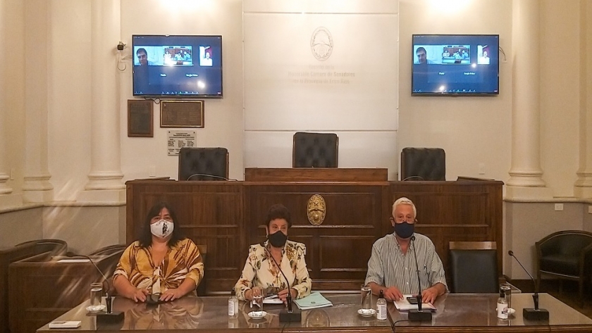 Doble dictamen favorable de la Comisión de Educación, Ciencia y Tecnología