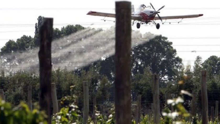 Mendoza finalizó la tercera etapa del servicio de tratamiento aéreo contra la polilla de la vid