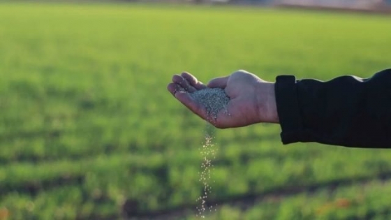 Un mercado que afronta desafíos con perspectivas de recuperación