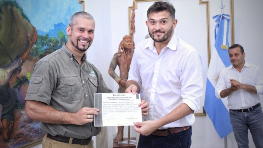 Impulso a la competitividad del sector forestal de Misiones