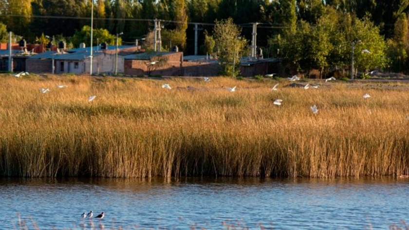 La laguna de San Lorenzo respira con la cuarentena