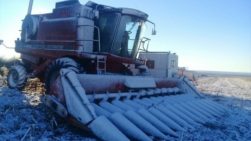 Gélido invierno: impactantes escenas de heladas extremas en el campo argentino