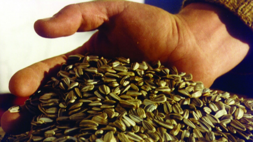 El Banco para Abastecimiento de Insumos Agropecuarios busca fortalecer las producciones de la provincia