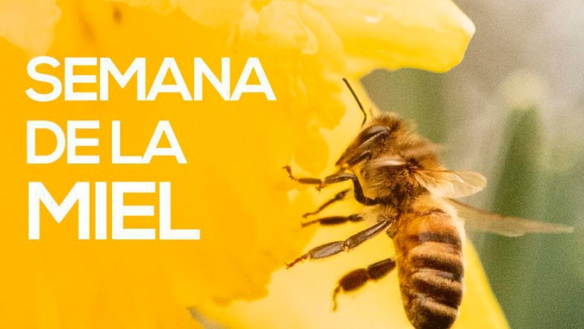 Ciencia e Innovación Tecnológica se suma a la Semana de la miel