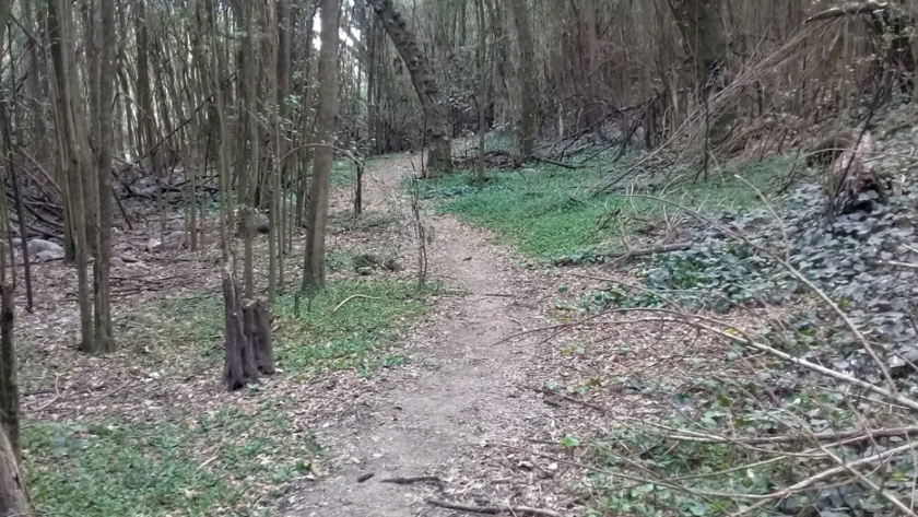 Vertientes en La Granja: a 50 km de Córdoba