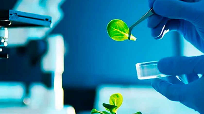 Los bioinsumos empiezan a jugar fuerte en las decisiones agronómicas
