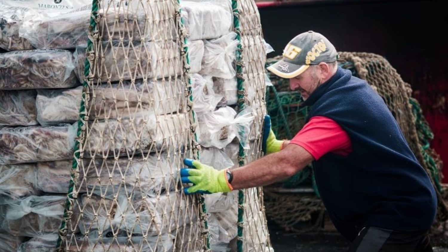 Mar del Plata consolidó su liderazgo pesquero con el mayor volumen de descargas de la última década