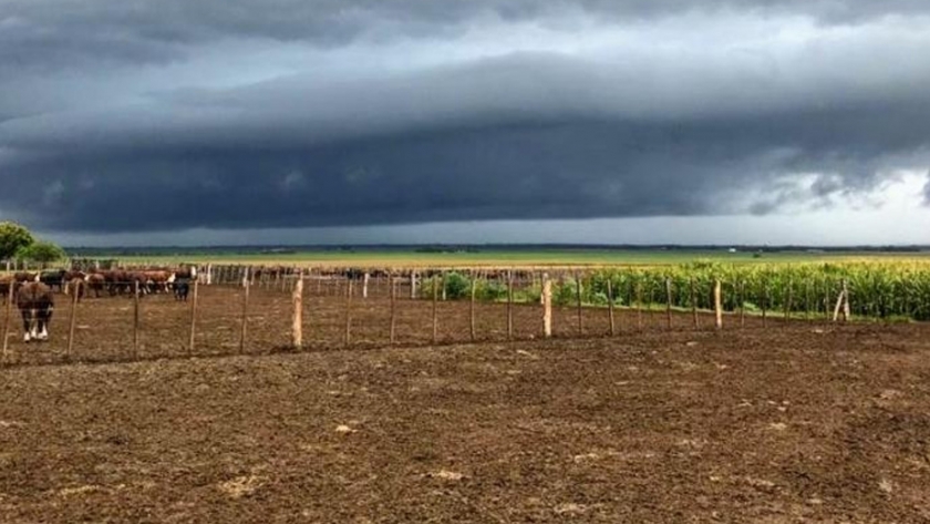 Córdoba: lluvias escasearon en abril y encienden una luz amarilla para la siembra fina