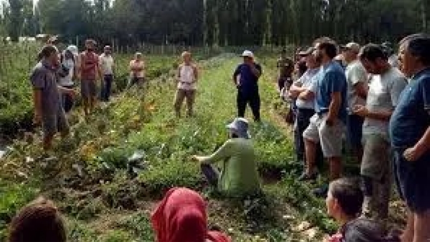 Misiones impulsa el futuro verde en la región con más de 650 hectáreas de chacras agroecológicas