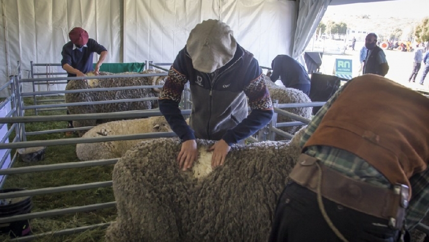 Con el acompañamiento a productores, se realizó la Exposición Rural de Bariloche
