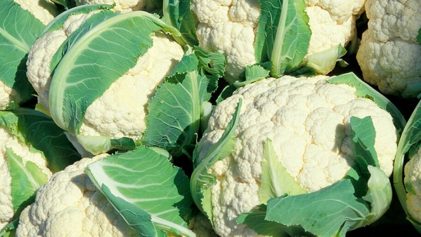Tener brócoli y coliflor en la huerta es posible si se inicia en febrero