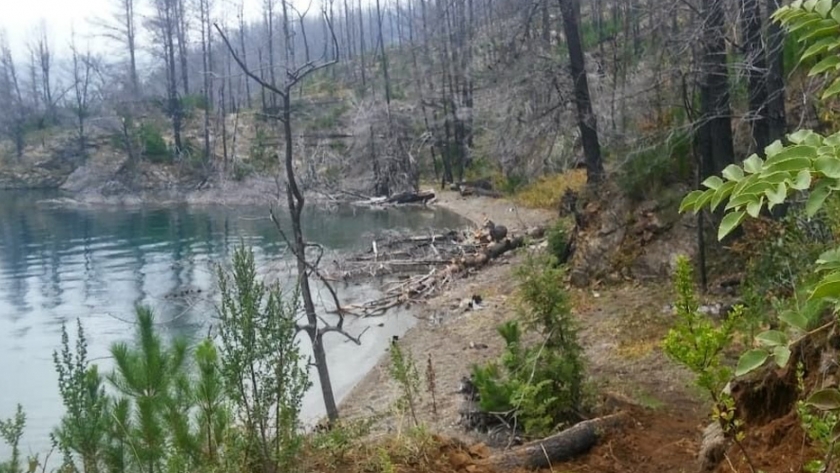 Bosques pone en marcha una nueva etapa del programa de manejo y conservación de la reserva Epuyén