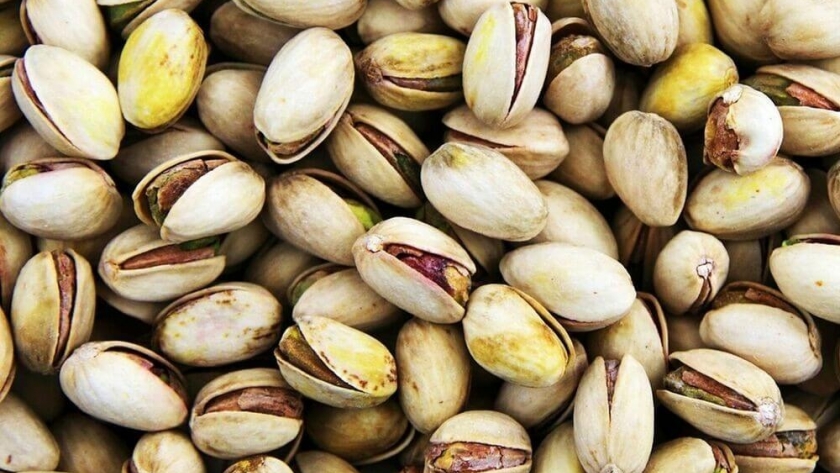 Día del pistacho: todo sobre el fruto de moda que suma rentabilidad y se distingue por sus propiedades