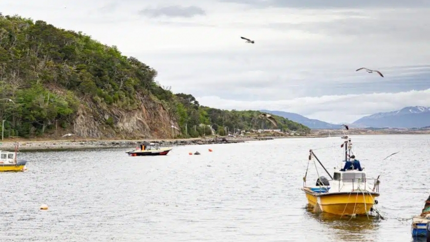 La Secretaría de Pesca y Acuicultura informa que se levanta la veda de moluscos bivalvos en Bahía Brown y Punta Paraná
