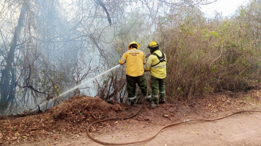 Continúa el amplio operativo de sofocamiento de incendios forestales en la Provincia