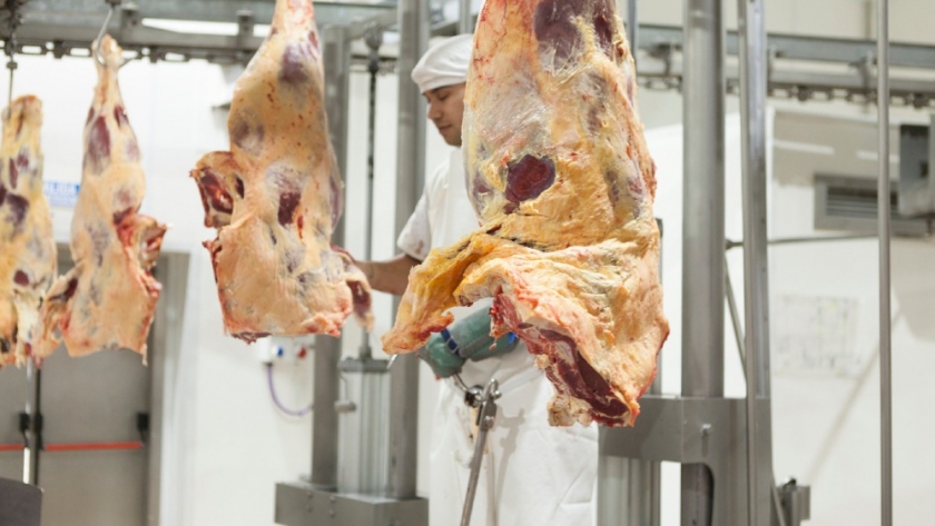 Nuevo mercado abierto: La Argentina ya puede exportar carnes bovinas a México