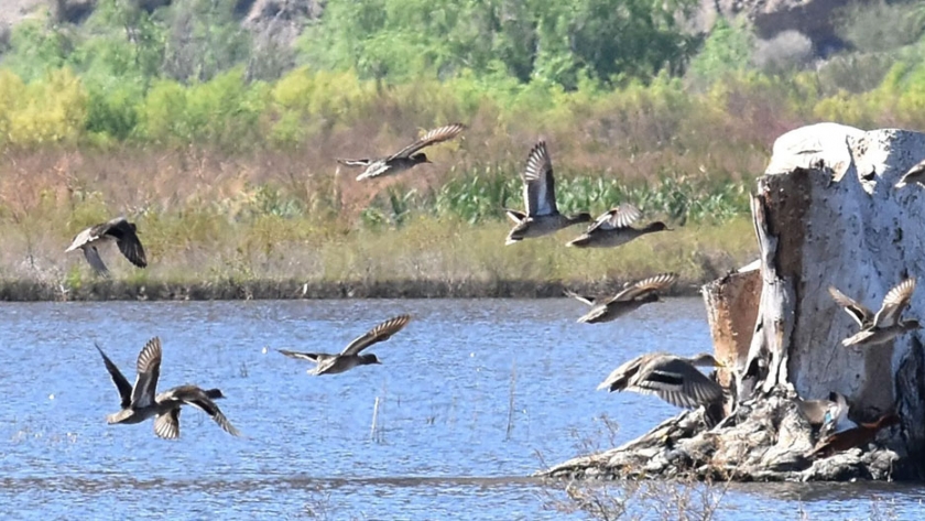 El Parque Sarmiento celebró el Día de los Humedales