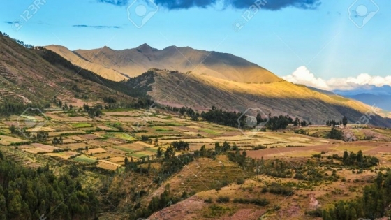 Perú apunta a duplicar su capacidad agroexportadora con la incorporación de 250 mil hectáreas