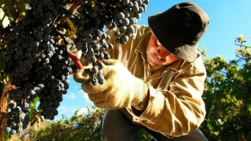 Inscripción en el curso para referentes de Cooperativas Frutihortícolas