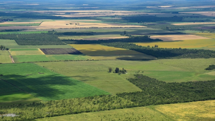 Javier Milei anunció la derogación de la Ley de Tierras: qué significa