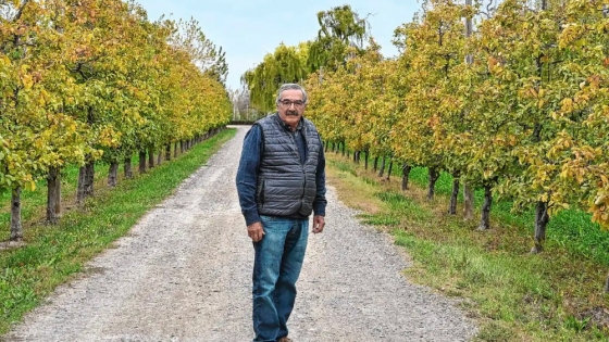 De viñatero a productor frutícola: la historia de Osvaldo Verdecchia