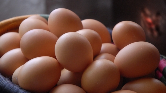 Argentina y la producción de huevo