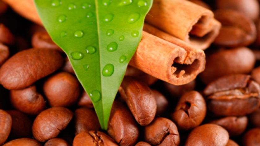 El eje cafetero en Colombia. Zona productiva por excelencia a nivel mundial