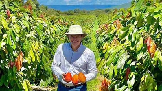 Cambio de rumbo: Gigante brasileño de la soja invertirá en cacao