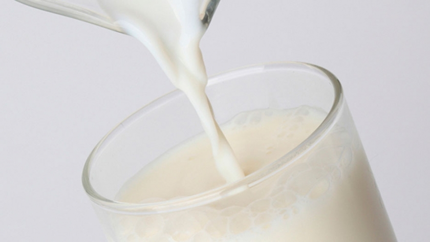 Día Mundial de la Leche