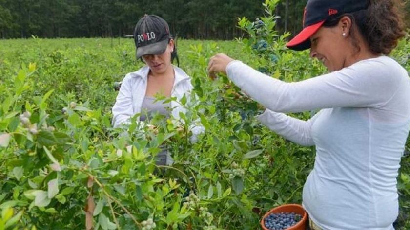 Agricultura destinará más de 29 millones de pesos para desarrollos productivos de mujeres cuyanas