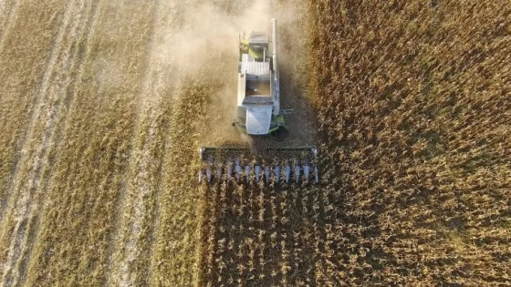 Desafíos en la campaña gruesa 2024/25: ¿un ciclo complicado para la agricultura argentina?