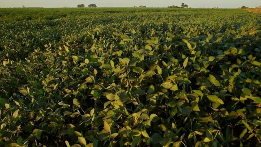 15 años de ALZ-Agro: crecimiento y compromiso verde