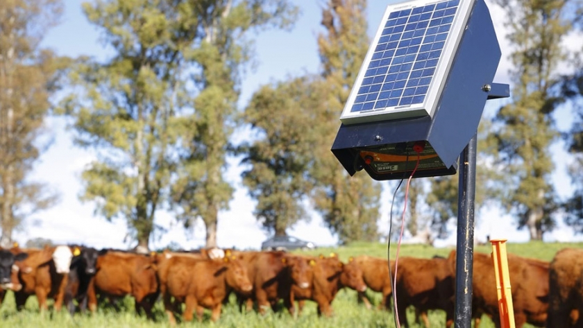 Se entregarán boyeros y bombas solares a productores rurales