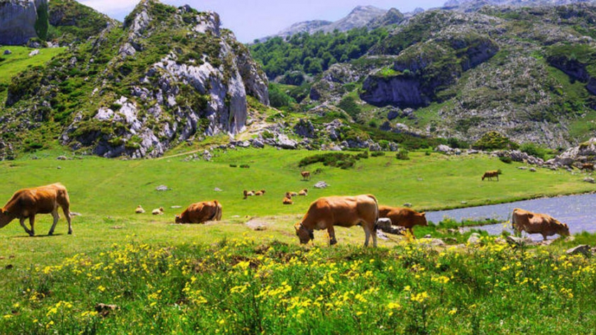 Finalizó el ciclo de Turismo Rural con la experiencia en San Luis y Corrientes
