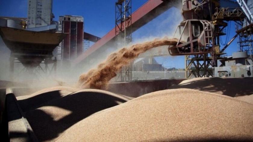 Las exportaciones agroindustriales se derrumbaron casi 35% en 2023