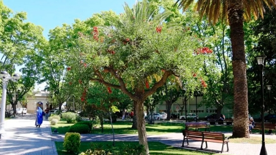 Día Provincial del Árbol en Mendoza