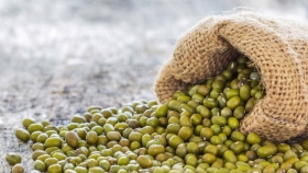 Frente a la caída del poroto negro, el poroto mungo se posiciona como la gran oportunidad de exportación