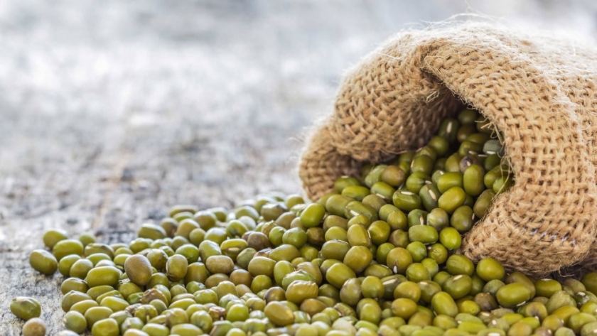 Frente a la caída del poroto negro, el poroto mungo se posiciona como la gran oportunidad de exportación
