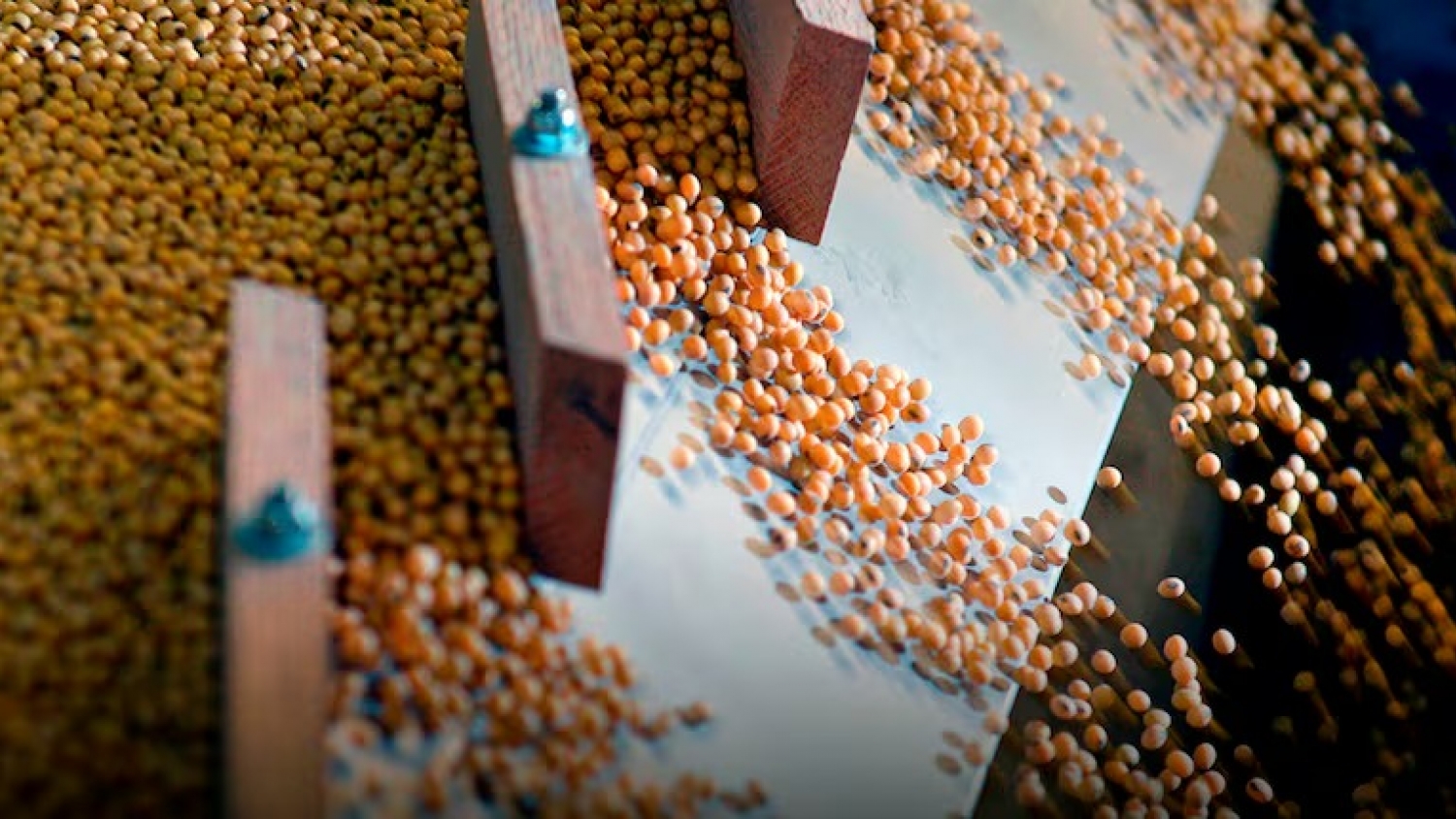 La soja cerró la semana en baja y perforó el umbral de los $500.000 por tonelada en Rosario
