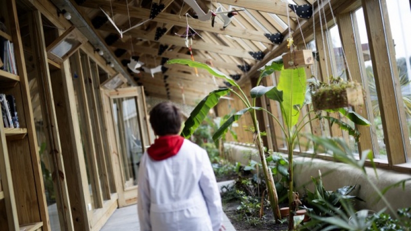 La educación ambiental para todas las edades es ley en Argentina
