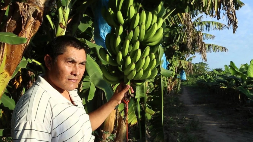 Productores agradecieron el acompañamiento de la comunidad en las ferias paipperas