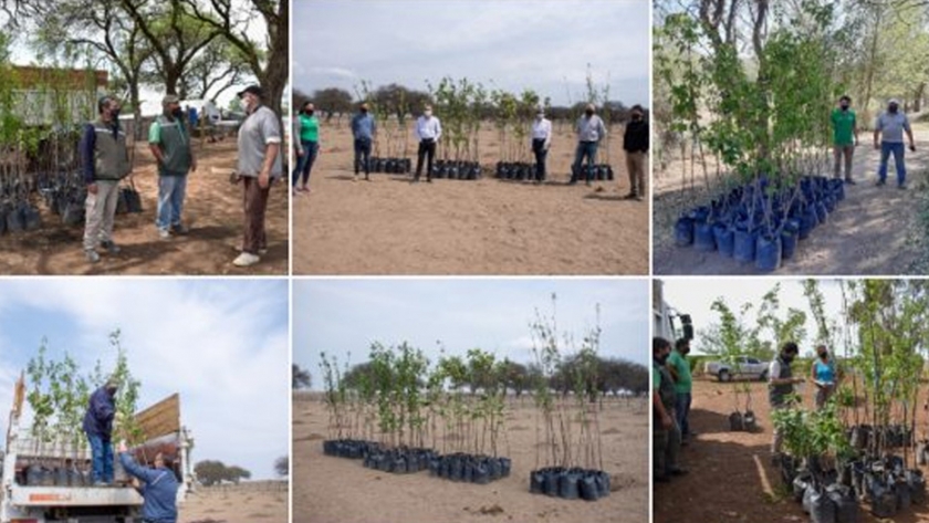 Finalizó la primera etapa del Plan de Activación Frutihortícola