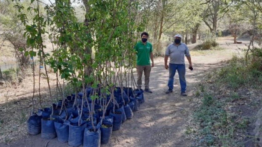 El Plan de Activación Productiva Frutihortícola ya entregó más de 1.000 frutales a productores de San Luis