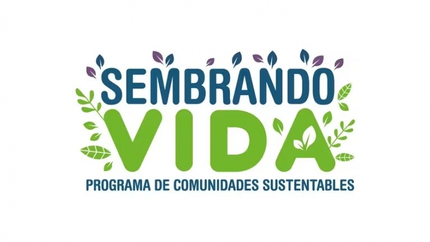 Sembrando Vida: cuáles son los requisitos para obtener el apoyo de 6 mil pesos