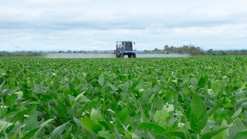 La huella de carbono en la agricultura se reduciría con fertilizantes de última generación